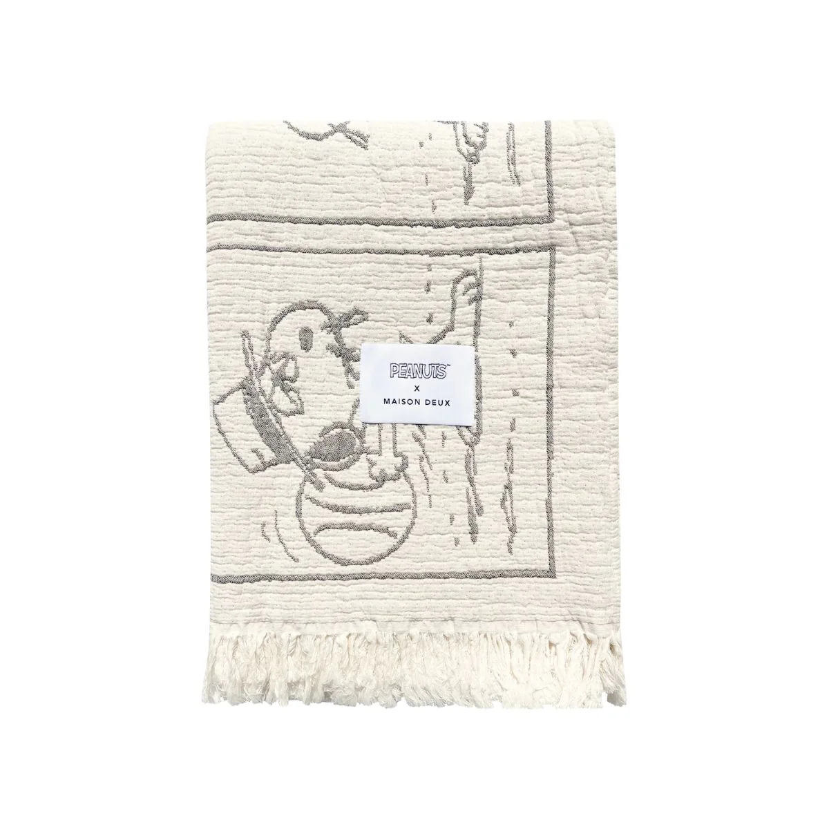 Peanuts Blanket Comic Dessert